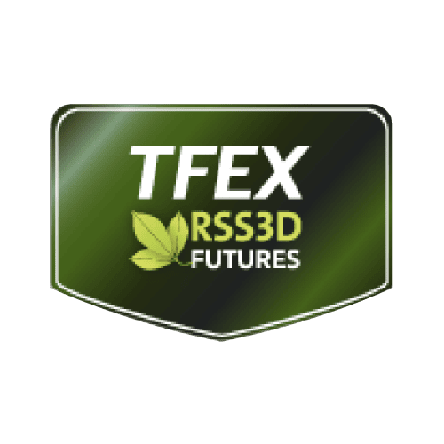 TFEX Logo PNG 07