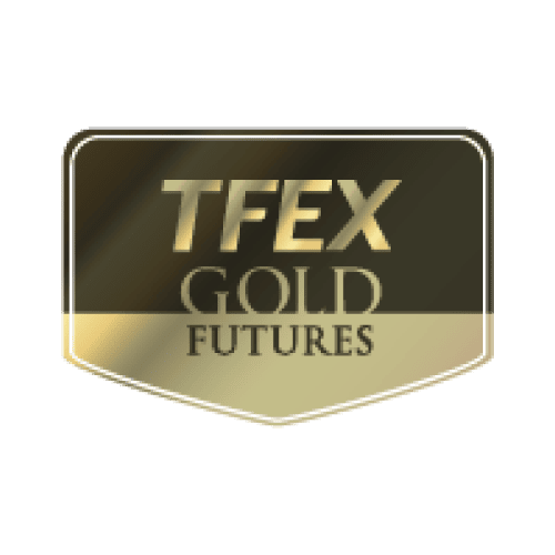 TFEX Logo PNG 08