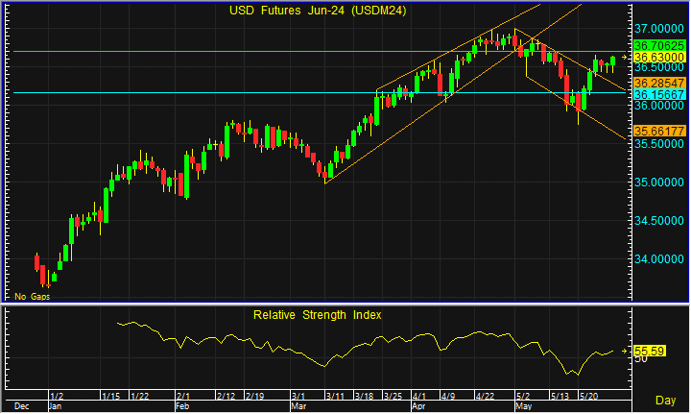 night usd 24