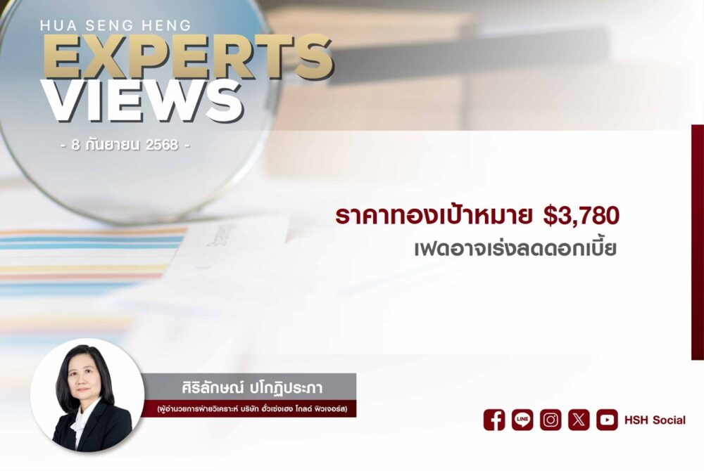 Cover vdo website 080968